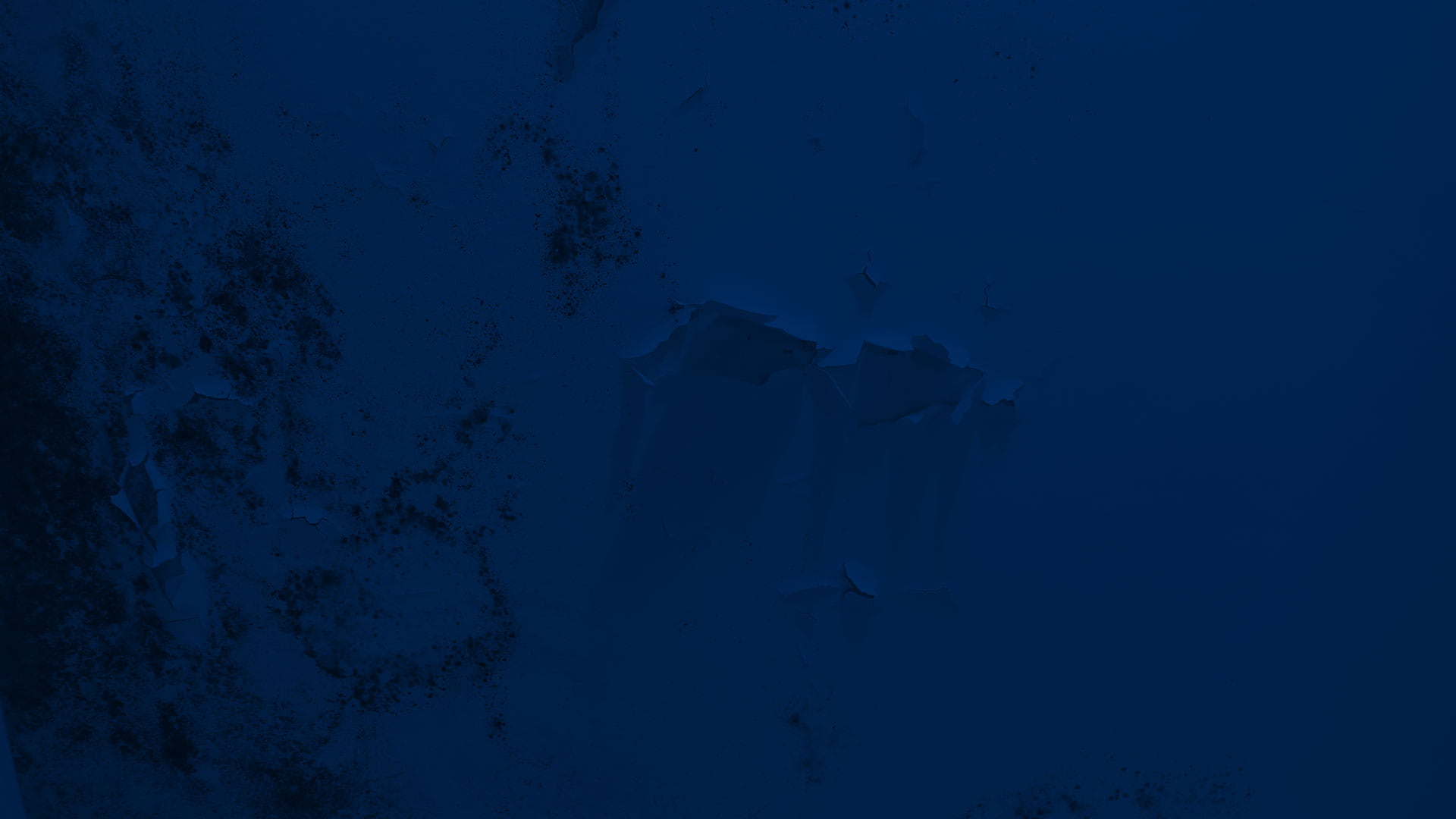 Mold Services