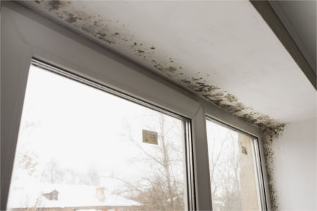 How to Stop Sick Building Syndrome with Mold Investigating & Testing