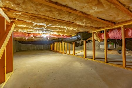 Crawl space mold testing in charleston sc signs of hidden moisture under your floors