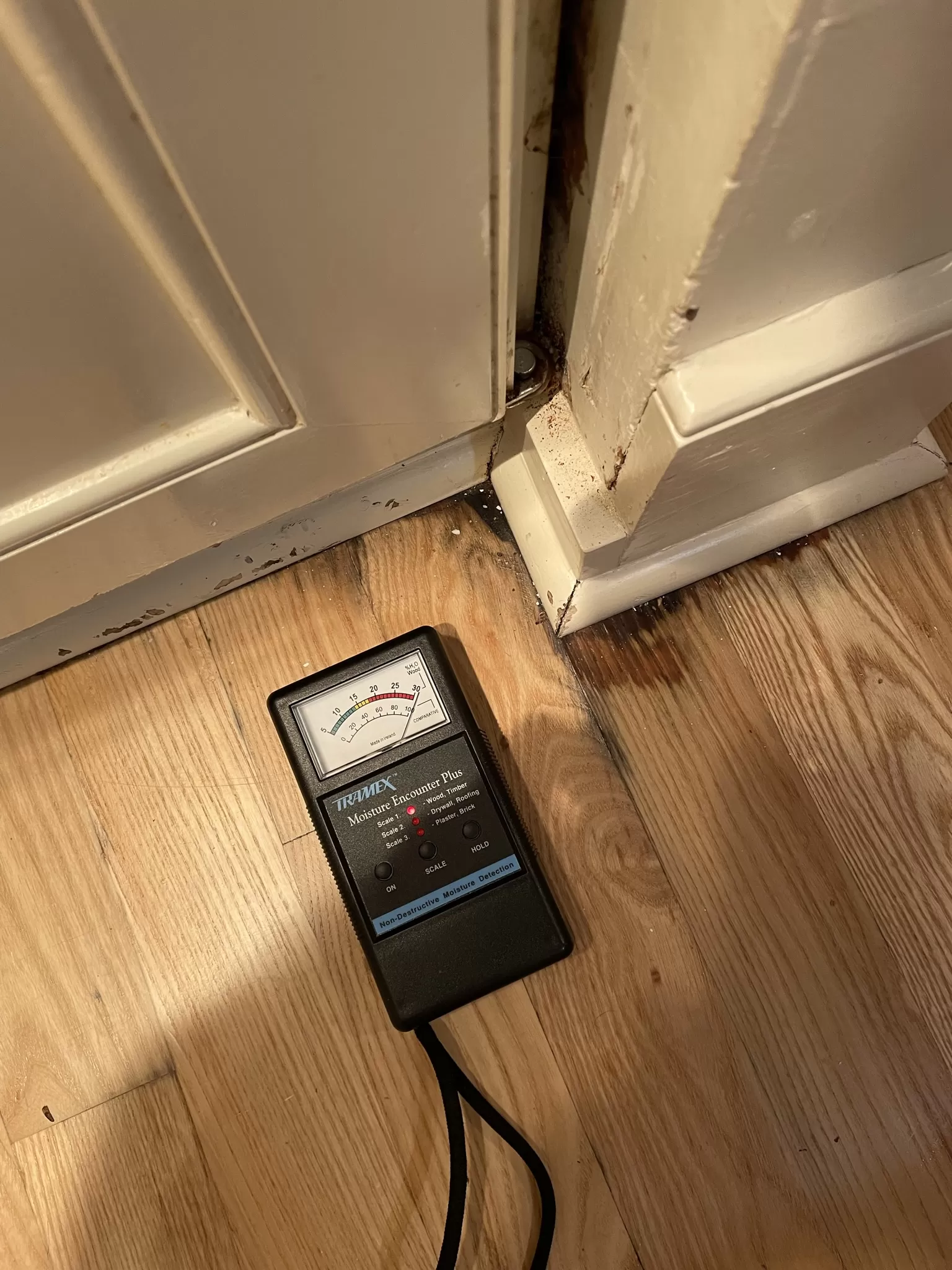 Black Mold Removal in Charleston, SC