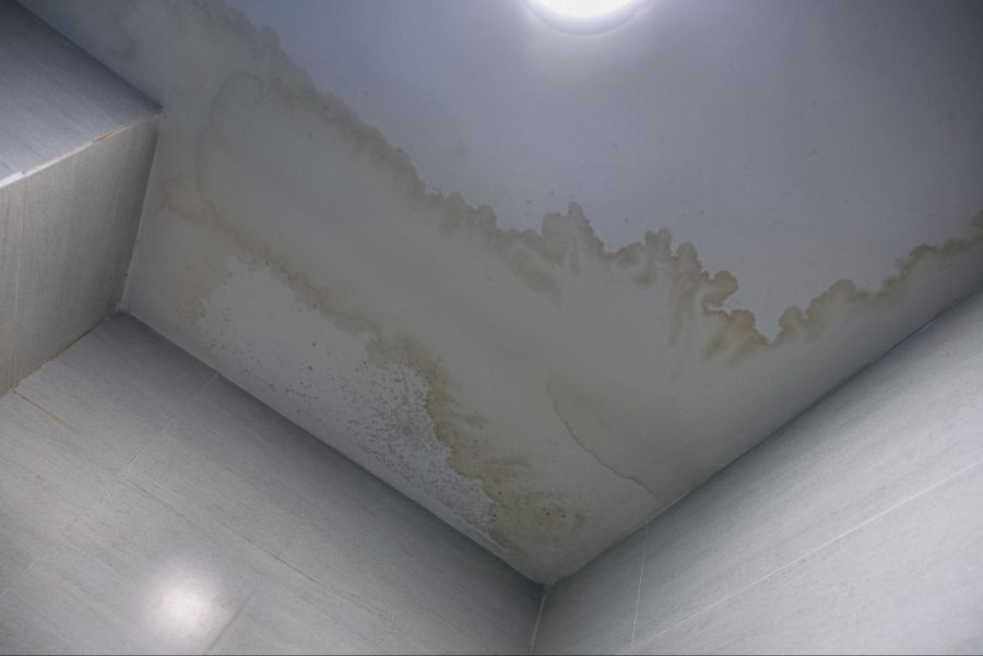 GLS Engineering Helps a Do-It-Yourselfer with Water Leak and Mold