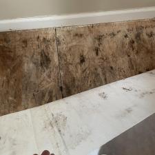Mold-Inspection-Mold-found-underneath-laminate-flooring-in-Charleston-home 1