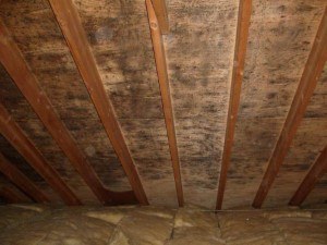 Attic