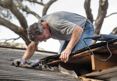 Mold testing restoration charleston